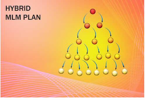 Hybrid MLM plan modules