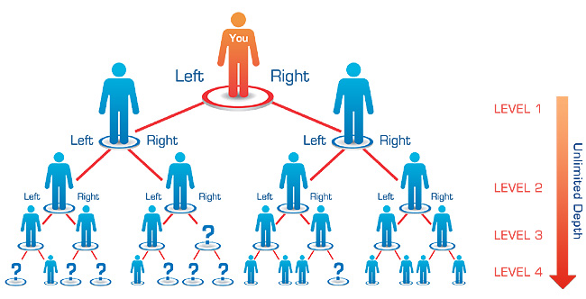 Binary MLM plan structure